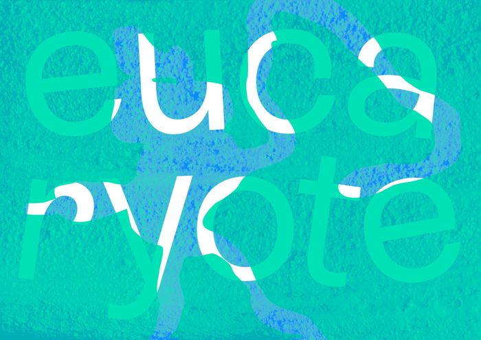 visuel Eucaryote