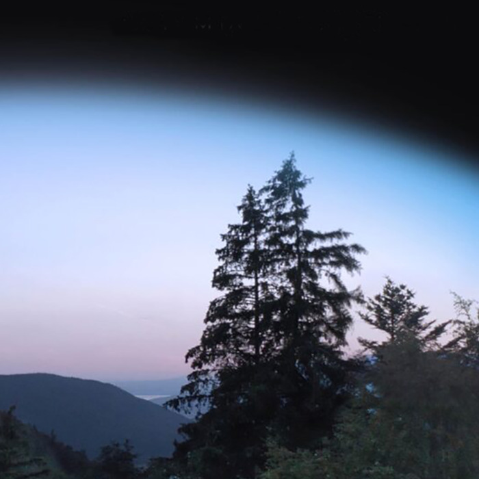 ciel nocturne forêt