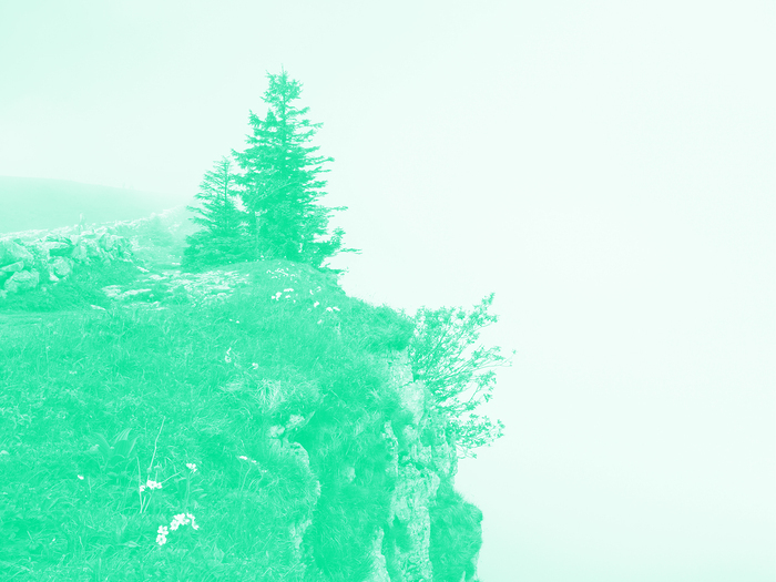 C'est la photo d'un precipice avec un arbre et un peu de végétation. La photo a un filtre de couleur.