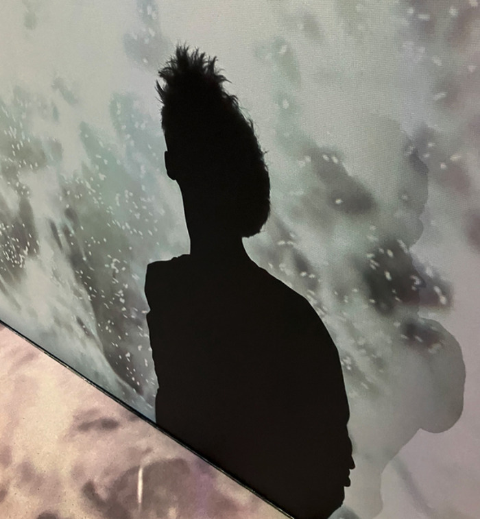 l'ombre d'une figure