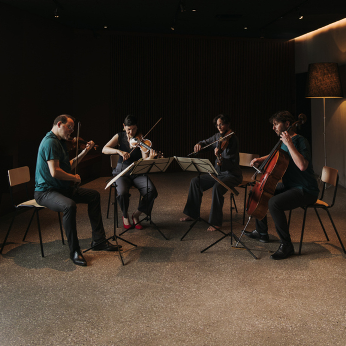 Photo du Quatuor Terpsycordes