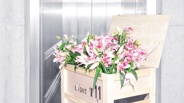 visuel du spectacle Ivanov