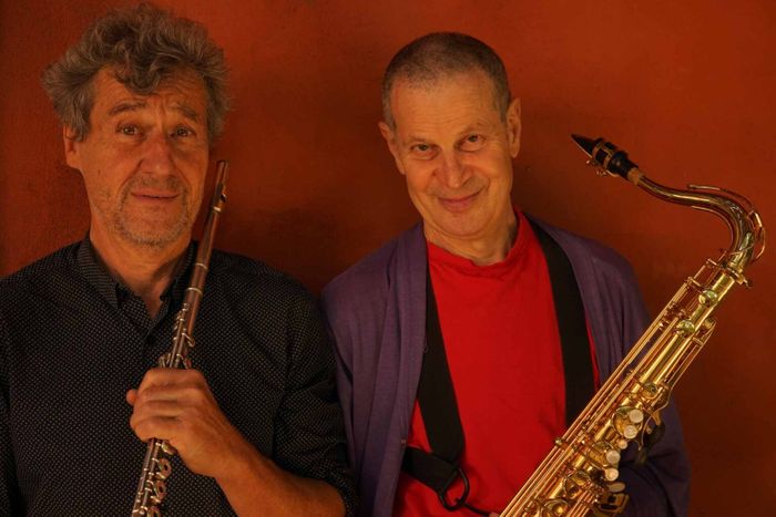 Deux musiciens
