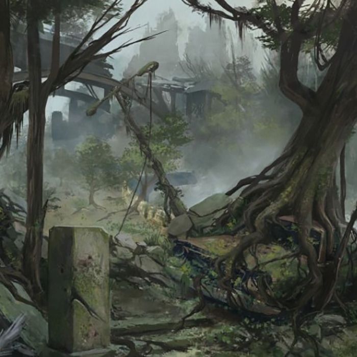 nature jungle ruine d'une cité