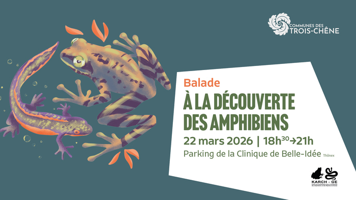Illustration d'amphibiens avec les informations sur la droite