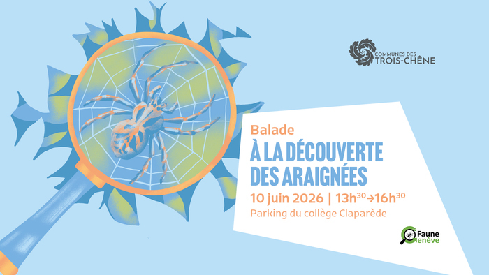Sur fond bleu, se trouve une loupe avec en son centre une araignée