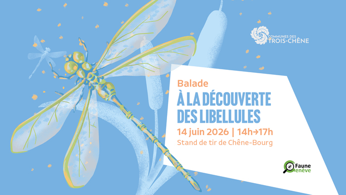 Sur fond bleu on retrouve une libellule
