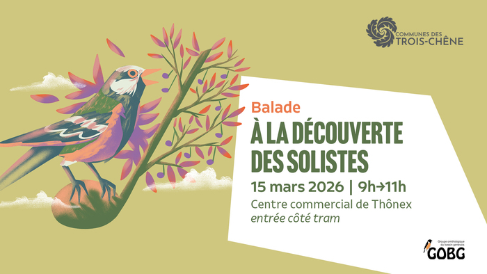 illustration d'un oiseau sur une branche et les informations de la balade sur la droite