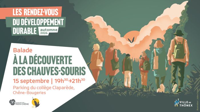 Des personnes marchent de dos avec au loin une chauve-souris qui apparaît au-dessus des nuances. Les informaitons de l'événement se trouvent sur la gauche du visuel