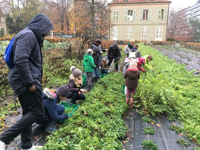 enfants agriculture biologique