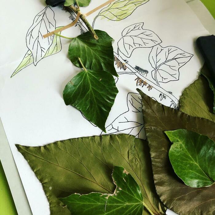 CJBG Feuilles et dessin de liere