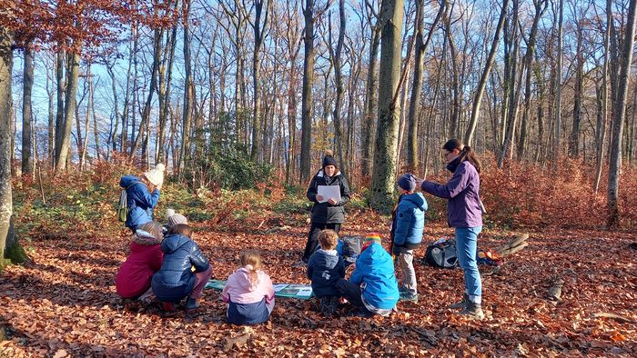 enfants forêt