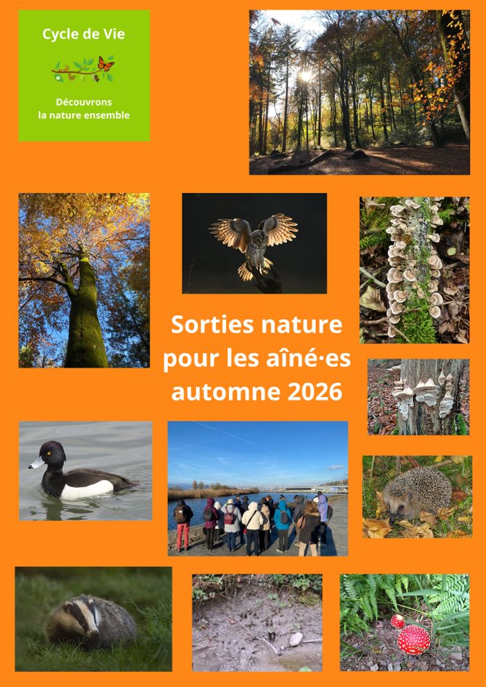 Sorties nature pour les aîné.es, photos de groupe, d'arbres, animaux et champignons
