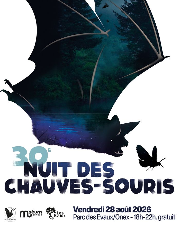 Affiche de chauves-souris