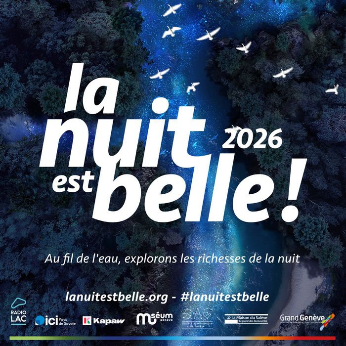 Image vue du ciel d'une rivière avec des oiseaux volant