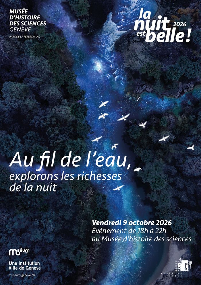 Image vue du ciel d'une rivière avec des oiseaux volant