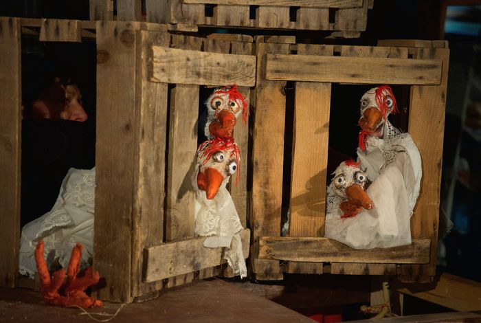 Une photo en couleur sur laquelle on peut voir quatre marionnettes de poule, installées sur des cageots en bois.