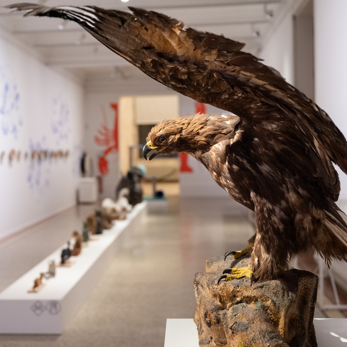 Logo de l'association dragon en origami