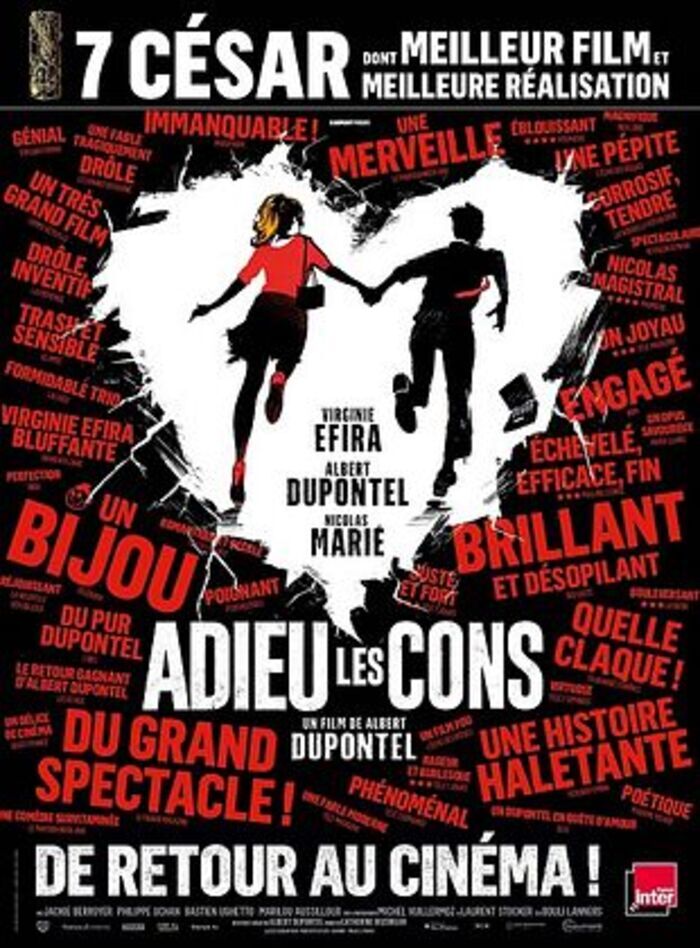 affiche adieu les cons