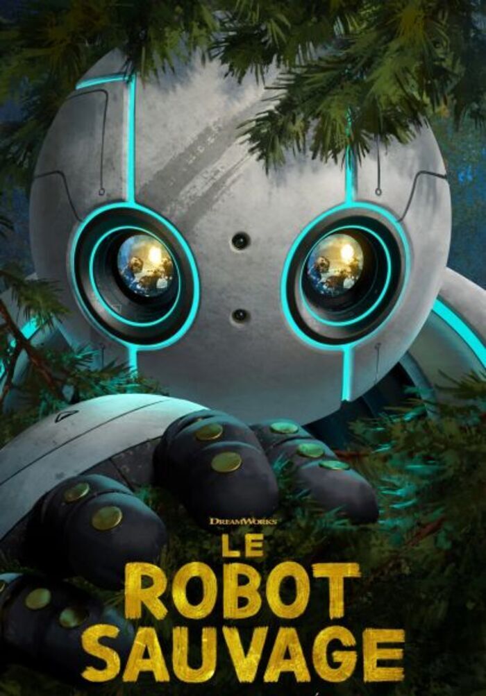 affiche le robot sauvage