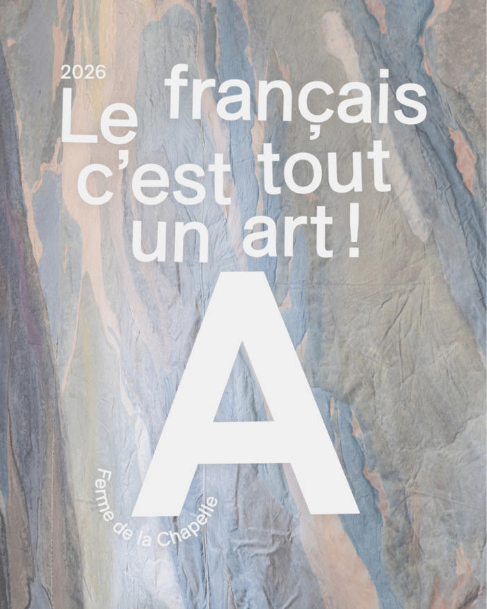 Affiche pour la visite en FLE