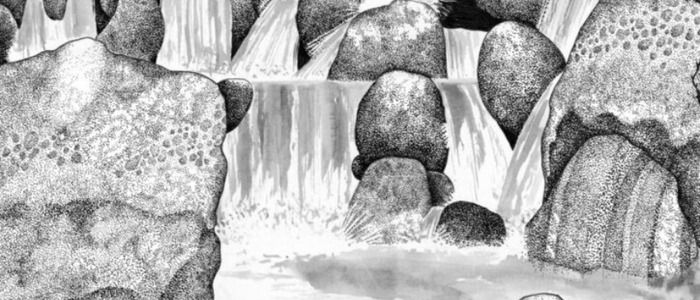 Nicolas Michel, Au fil de l'eau dessin cascade