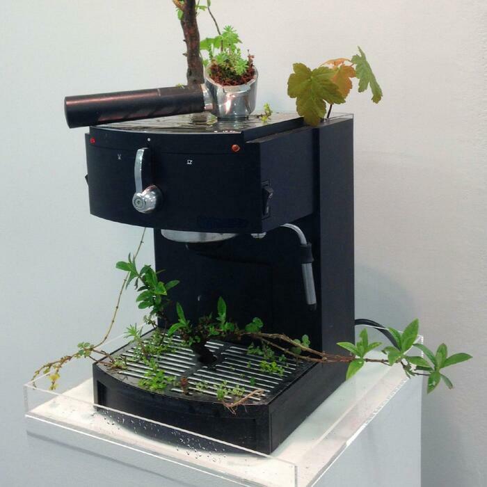 FMAC et MAH Une machine à café où la nature à repris ses droits