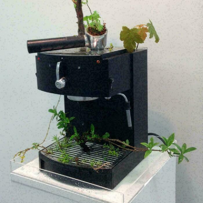 FMAC et MAH Une machine à café où la nature à repris ses droits