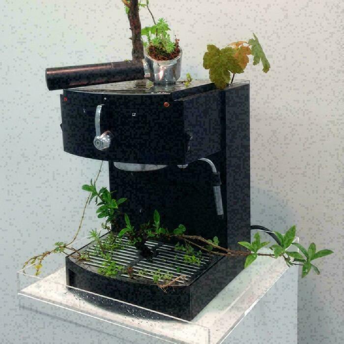FMAC et MAH Une machine à café où la nature à repris ses droits