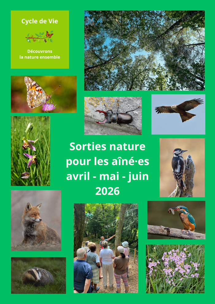 Cycle de Vie - découvrons la nature ensemble - sorties nature pour les aîné.es avril-mai-juin 2026