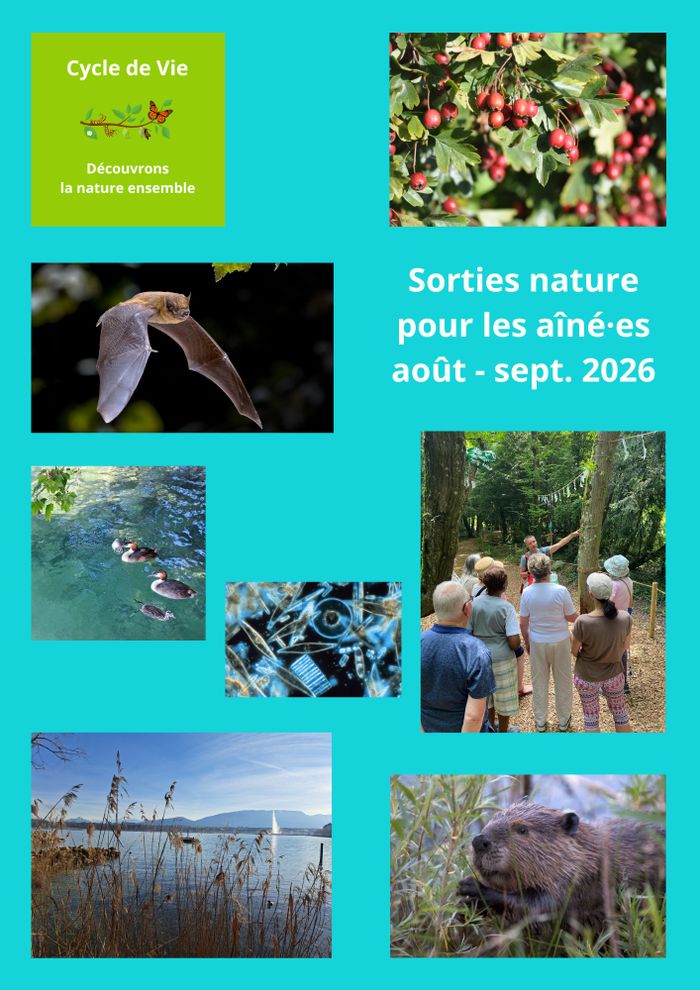 Sorties nature pour les aîné.es, photos de groupe, de baies et d'animaux