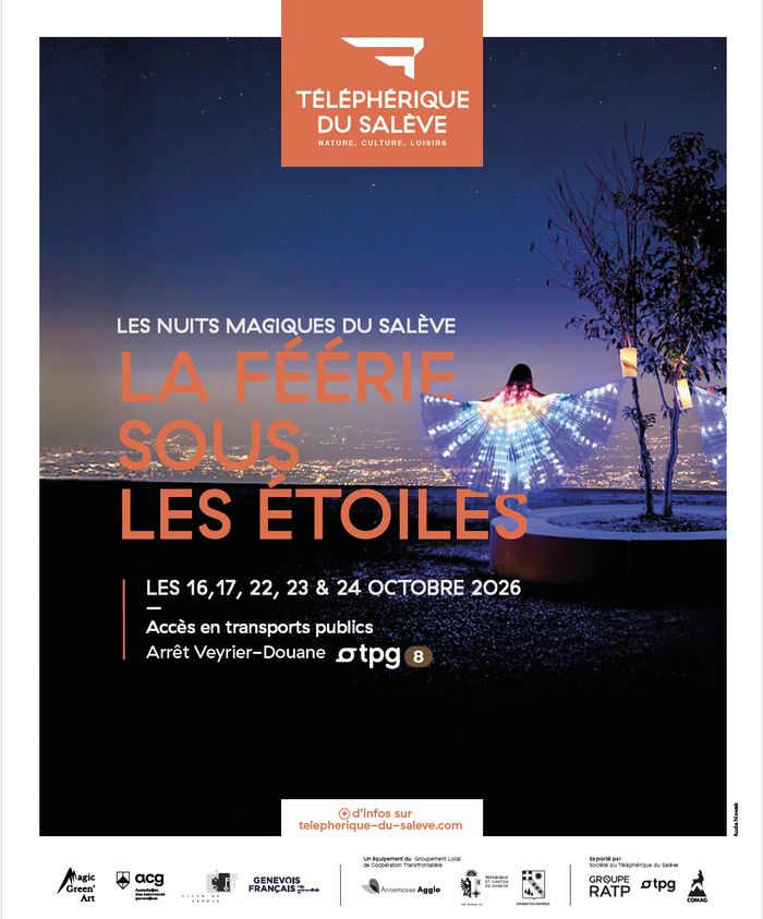 Vue sur Genève de Nuit avec des illuminations