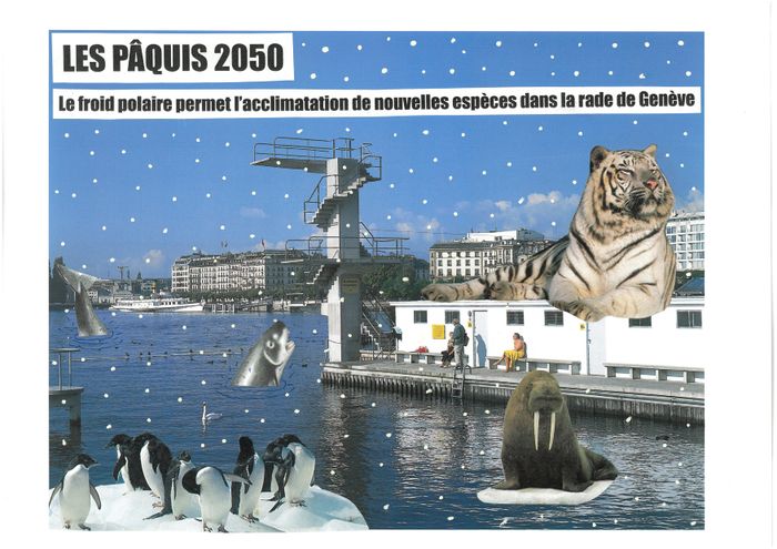 bain des Pâquis, neige, morse, orque, pinguins