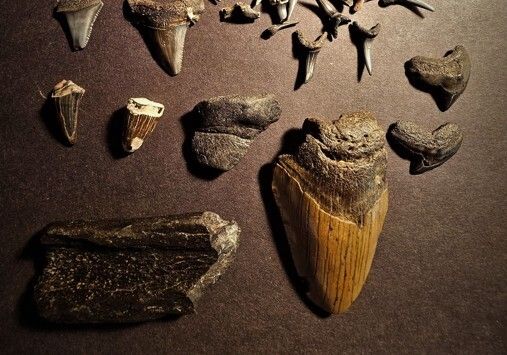 hiéroglyphes