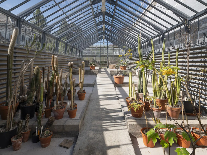 Nicole Zermatten - Ville de Genève Serre avec quelques plantes en pots