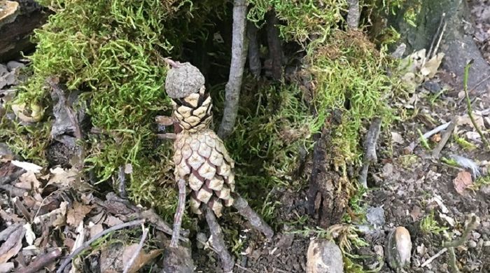 éléments naturels