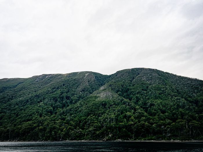 Photo d'une montagne verdoyante au bord de l'eau.