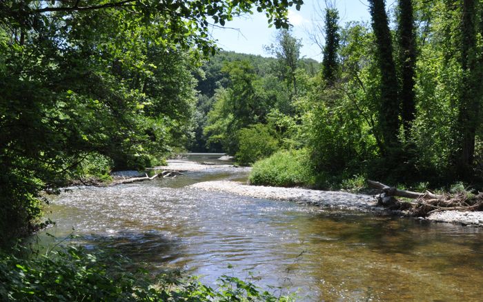 La rivière Allondon que nous longerons en partie lors de notre marche.