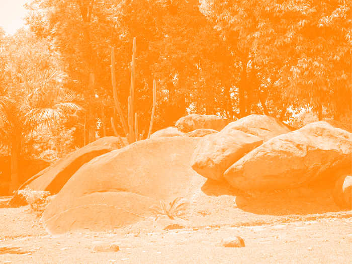 Ce sont des rochers avec un peu de fôret derrière. La photo a un filtre de couleur.