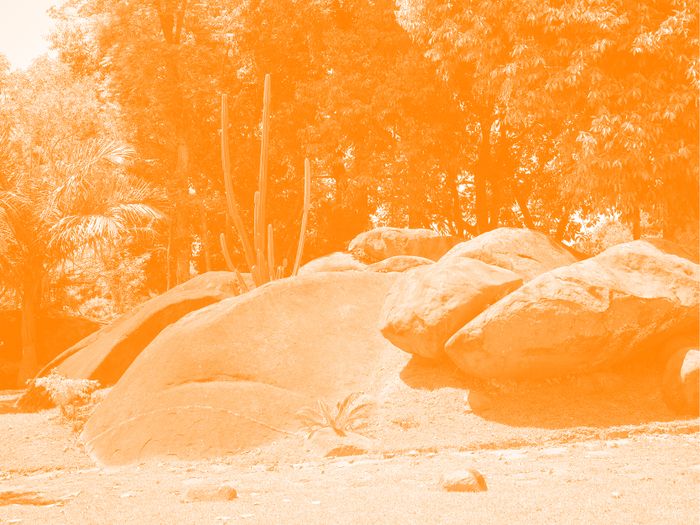 Ce sont des rochers avec un peu de fôret derrière. La photo a un filtre de couleur.