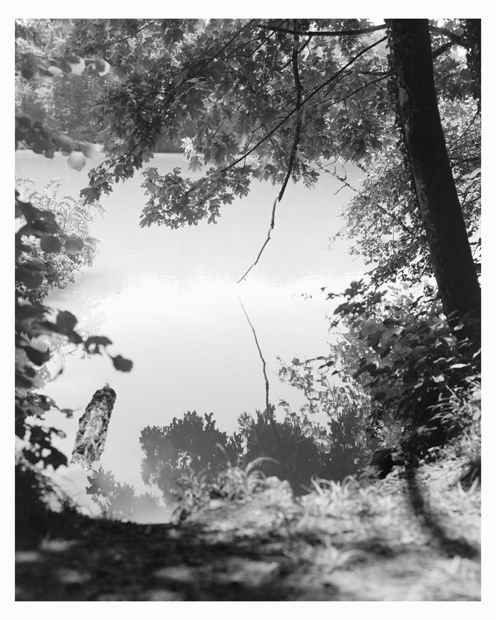 Photographie en noir et blanc du Rhône vu depuis la rive, avec de la végétation au premier plan