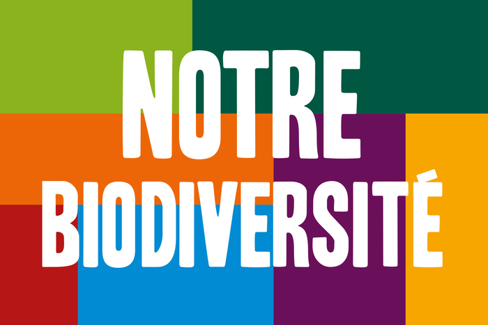 Fond de différentes couleurs avec un texte en blanc: Notre biodiversité