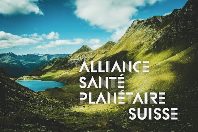 Paysage montagneux verdoyant