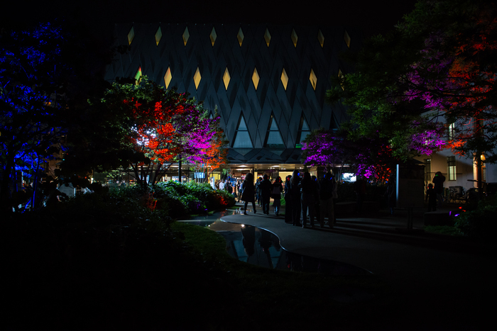 MEG Photo du bâtiment la nuit avec des lumières colorées