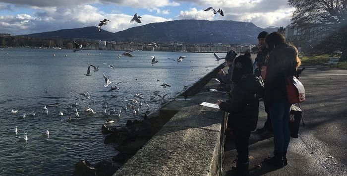 oiseaux lac