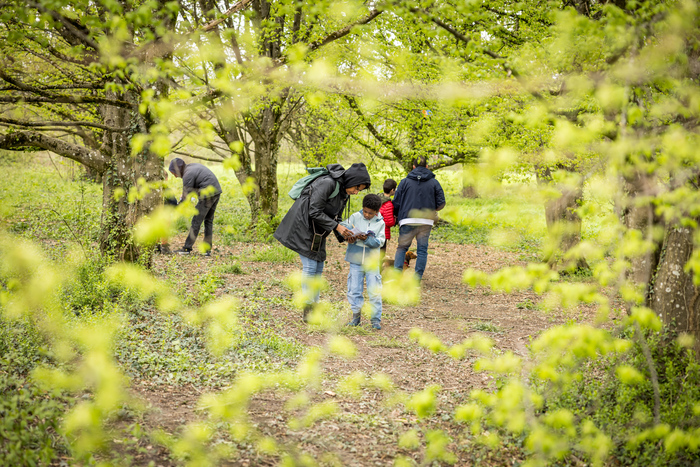 Chasse aux oeufs au parc des evaux