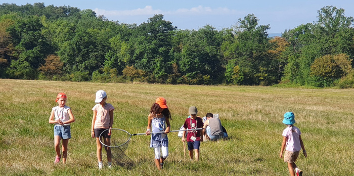 enfants filets papillons