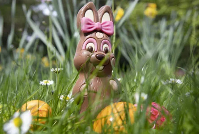 lapin au chocolat avec un noeud rose et des oeufs dans l'herbe