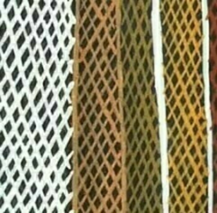 Détail d'une écorce peinte