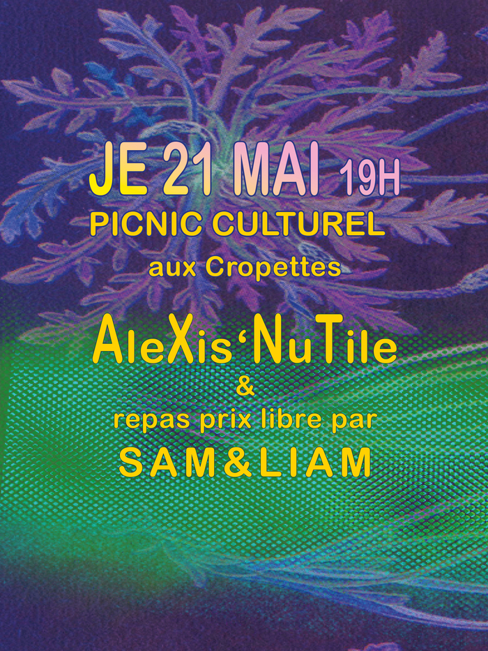 flyer du picnic culturel IASP